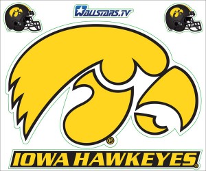 Iowa Hawkeyes Gold Tigerhawk Junior Wall Graphics & Stickers ...